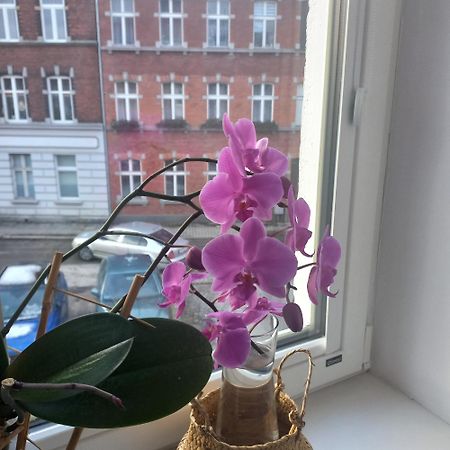 Apartament Prowansalski Z Miejscem Parkingowym Gdańsk Kültér fotó